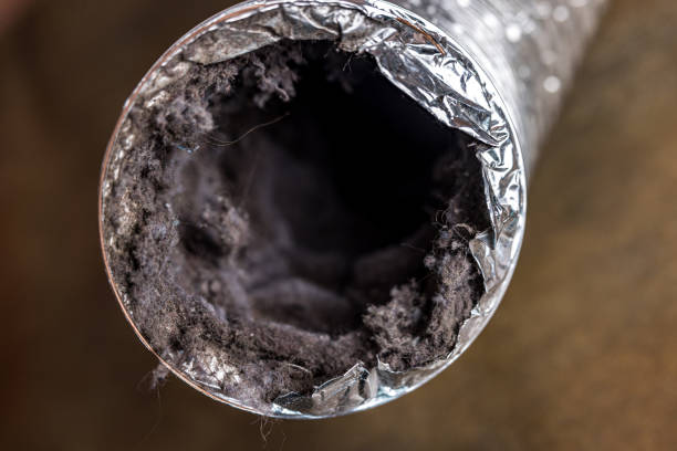 Best Ductwork Cleaning Services  in Wilkesboro, NC